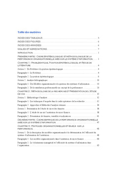 systeme d'information: metaphore de la performance organisationnelle