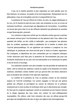 Rapport de Recherches sur l'elimination des Colorants de Textile