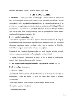 L'oncocytome renal