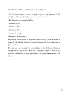 L'oncocytome renal