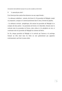 L'oncocytome renal