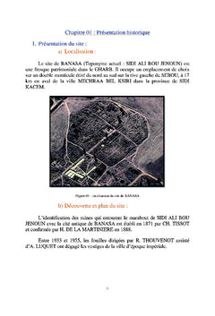 Modélisation restitution 3D monumentale du site archéologique "Banasa"