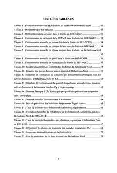Impacts socio-economiques de la pollution atmospherique A Madagascar
