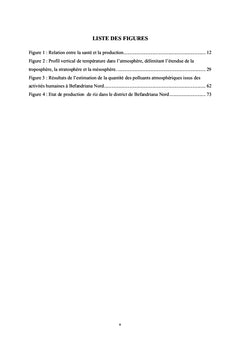 Impacts socio-economiques de la pollution atmospherique A Madagascar