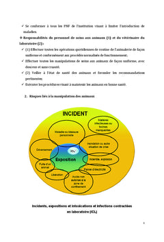 Modèles d'étude et d'expérimentation en physiologie