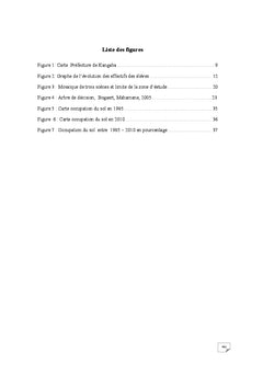 Impacts de l'orpaillage sur la vegetation dans le cercle de Kangaba