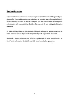 La responsabilite du fait de l'entreprise