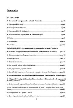 La responsabilite du fait de l'entreprise