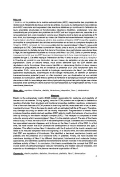Diabète de type 2 & thrombose: rôles des peptides d'élastine