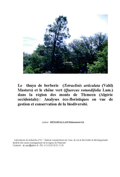 Le Thuya (Tetraclinis articulata) et chene vert