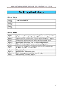 Intégration TIC dans l'enseignement des maths au secondaire au Bénin