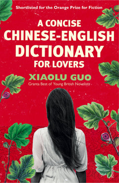 Petit dictionnaire chinois-anglais pour amants