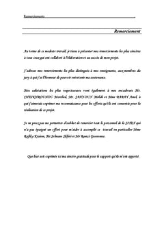 Etude et modelisation de l'influence des caracteristiques des fibres