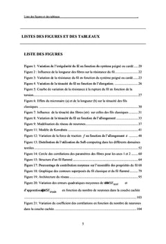 Etude et modelisation de l'influence des caracteristiques des fibres