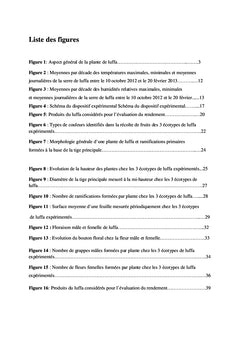 Caracterisation agronomique de trois ecotypes de Luffa aegyptiaca Mill