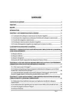 Comment impliquer davantage stratégiquement la diaspora camerounaise