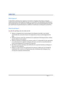 Comment impliquer davantage stratégiquement la diaspora camerounaise