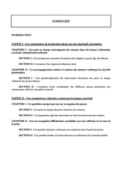 Les établissements pénitentiaires pour mineurs