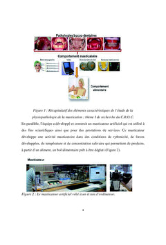 Alimentation et mastication de l'adulte polycarie