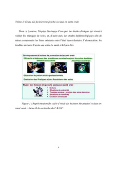 Alimentation et mastication de l'adulte polycarie