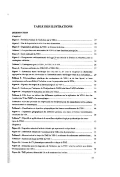 Parametre impliques dans la transmission mere-enfant du VIH-1.