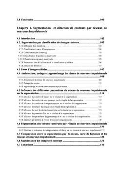 Contribution des réseaux de neurones temporels en traitement d'images