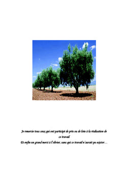 Les marqueurs ADN pour une meilleure traçabilité des huiles d'olive