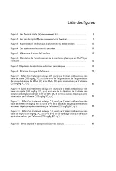 Effets hypoglycemiants et hypocholesterolemiants des baies de myrte