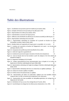 Transferts hydriques et thermiques au sein des matériaux poreux