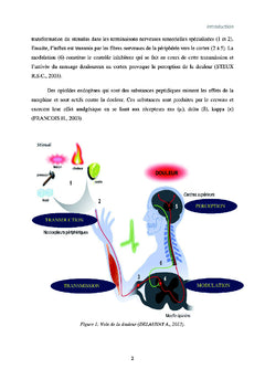 Evaluation de l'activite analgesique