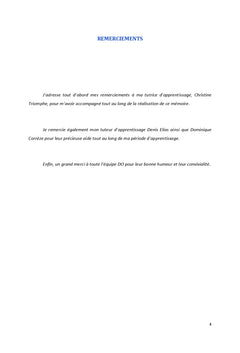 Enjeux de l'utilisation des applications d'aide A l'organisation :