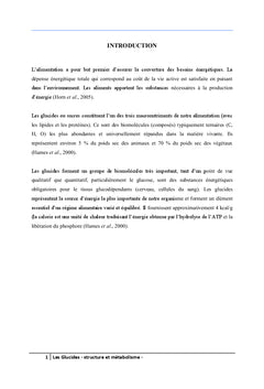 Les Glucides
