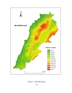 Vignes et vins au Liban