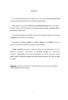 Etude de l'espèce Rosmarinus officinalis L.