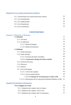 Etude de l'espèce Rosmarinus officinalis L.