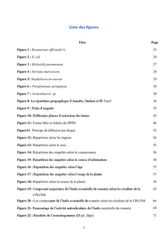 Etude de l'espèce Rosmarinus officinalis L.