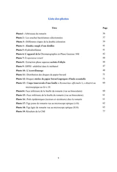 Etude de l'espèce Rosmarinus officinalis L.