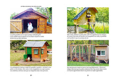 Elever des poules - Des alliés vers l'autonomie