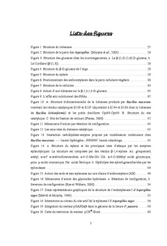 Criblage, etude, expression et application de ?-glucanases et xylanase