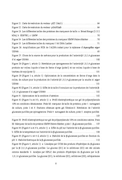 Criblage, etude, expression et application de ?-glucanases et xylanase
