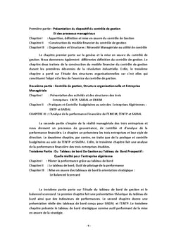 Controle de Gestion: Organisation et Mise en oeuvre