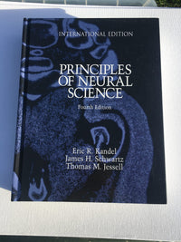 Principles Of Neural Science