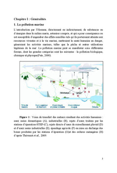 Évaluation de la contamination métallique du sédiment marin
