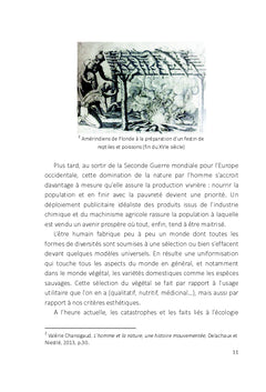 La domestication du végétal