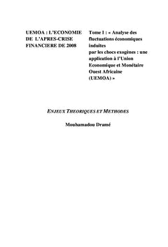 Tome I: Analyse des fluctuations induites par les chocs exogenes