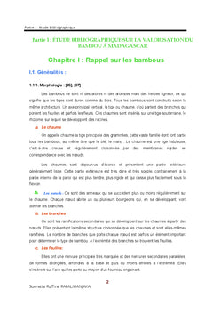 Valorisation du Bambou geant de Madagascar