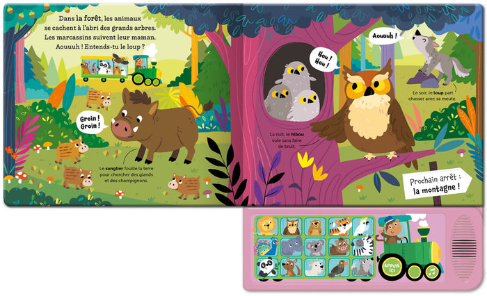 Écoute et joue - Les animaux du monde