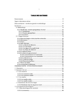 Etude phonologique et grammaticale du teen