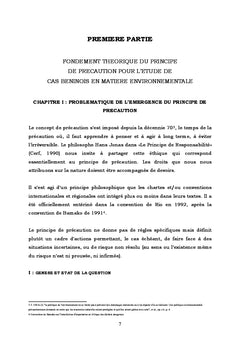 Le principe de précaution en Droit International de l'environnement