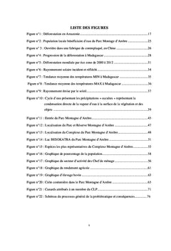 Analyse socio-economique des risques lies A la deforestation
